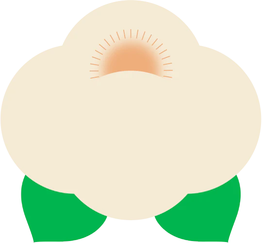 茉莉奶白